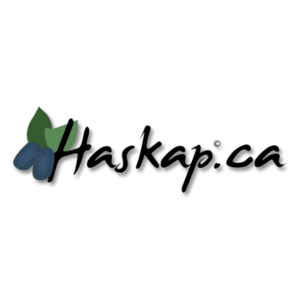 Haskap association logo.