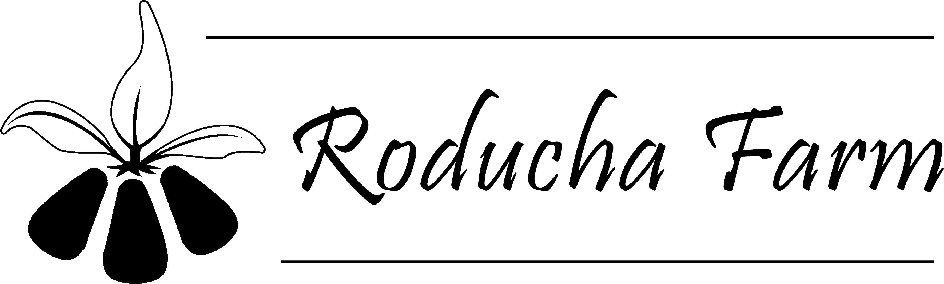 Roducha Logo